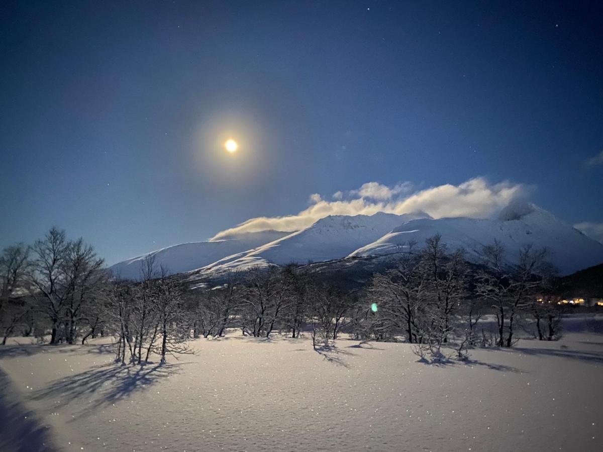 트롬쇠 Cozy Fjord Retreat With Firepit And Activities 아파트 외부 사진
