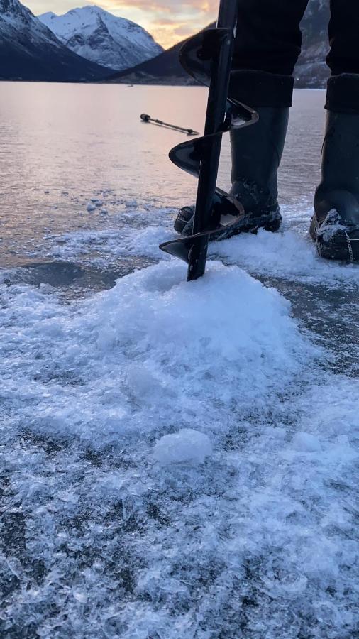 트롬쇠 Cozy Fjord Retreat With Firepit And Activities 아파트 외부 사진
